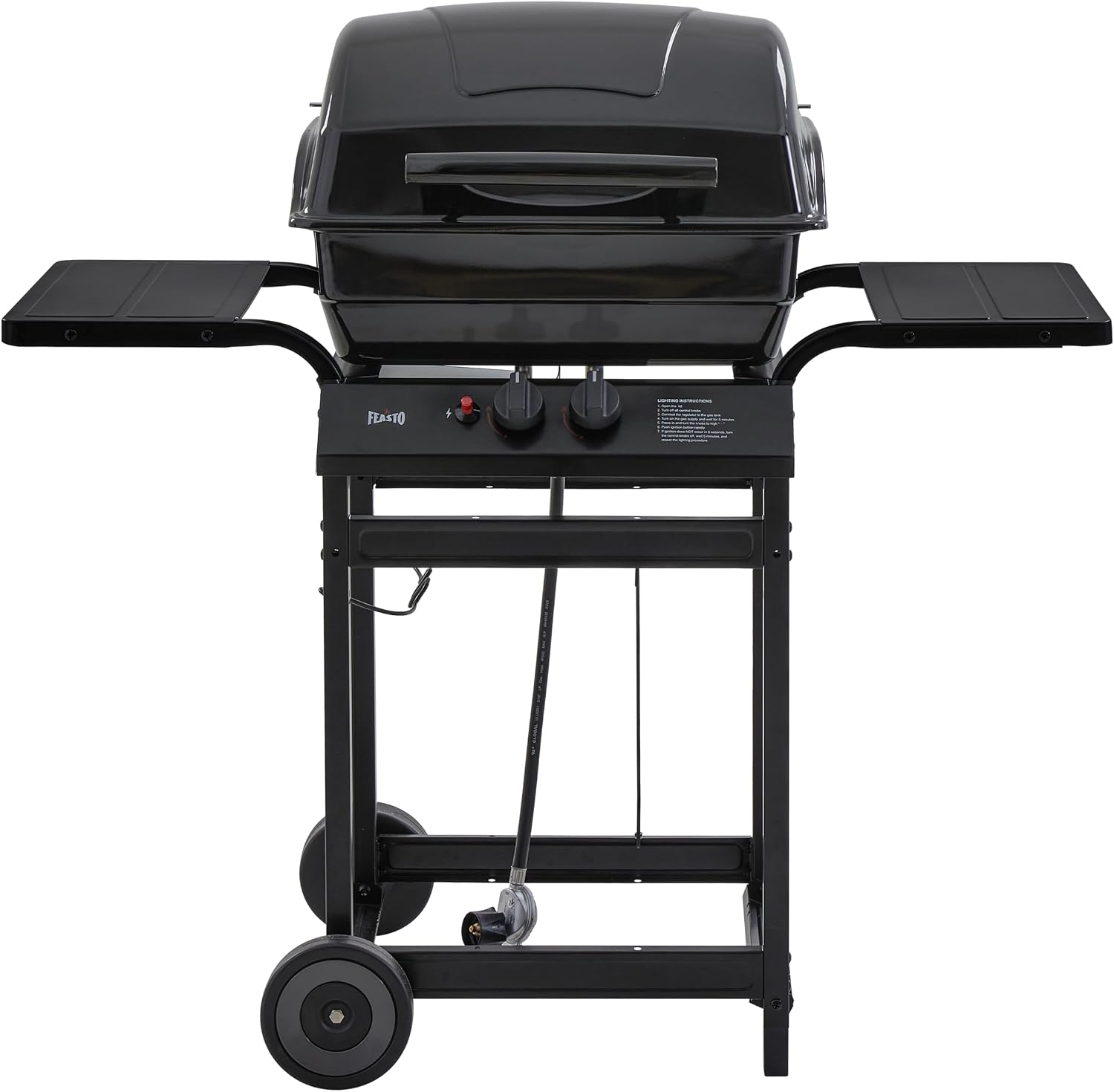 Feasto 2 Burner Propane Gas Grill for Outdoor Cooking and BBQ, Black